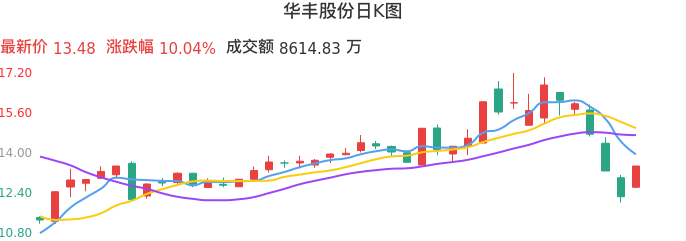 整体分析-日K图：华丰股份股票整体分析报告