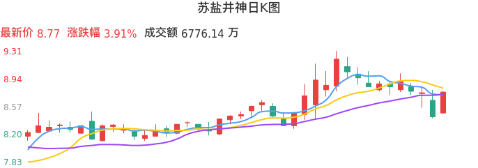 整体分析-日K图：苏盐井神股票整体分析报告