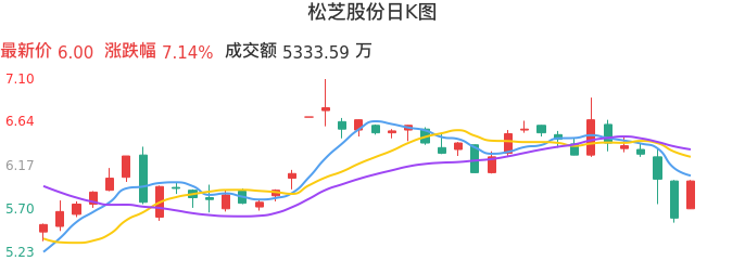 整体分析-日K图：松芝股份股票整体分析报告