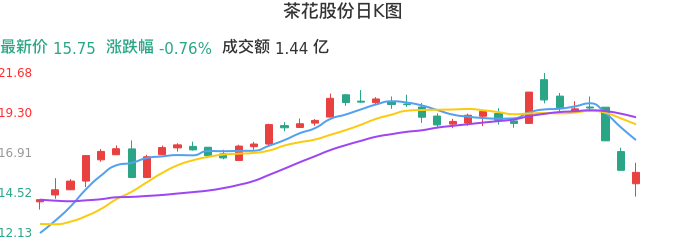 整体分析-日K图：茶花股份股票整体分析报告