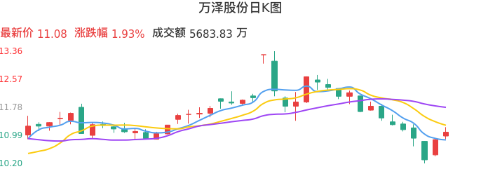 整体分析-日K图：万泽股份股票整体分析报告