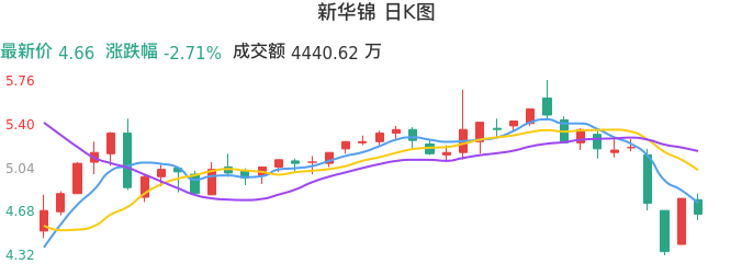 整体分析-日K图：新华锦股票整体分析报告