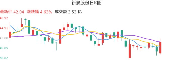整体分析-日K图：新泉股份股票整体分析报告