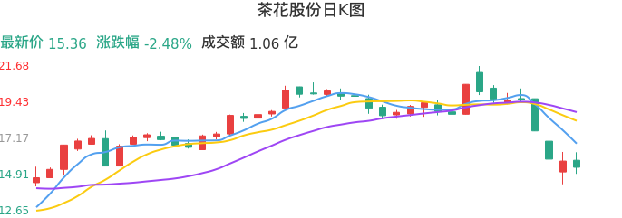 整体分析-日K图：茶花股份股票整体分析报告