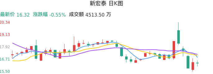 整体分析-日K图：新宏泰股票整体分析报告