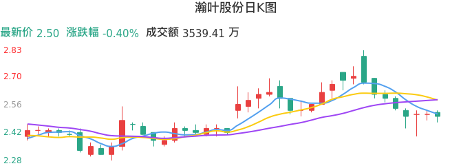 整体分析-日K图：瀚叶股份股票整体分析报告