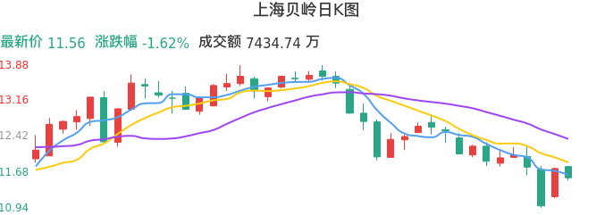 整体分析-日K图：上海贝岭股票整体分析报告