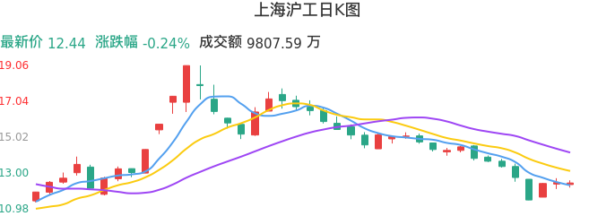 整体分析-日K图：上海沪工股票整体分析报告