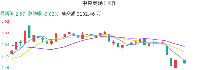 整体分析-日K图：中央商场股票整体分析报告