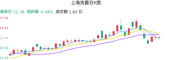整体分析-日K图：上海洗霸股票整体分析报告