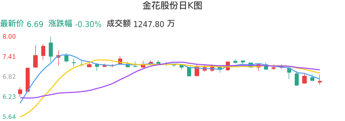 整体分析-日K图：金花股份股票整体分析报告