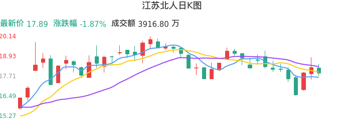 整体分析-日K图：江苏北人股票整体分析报告
