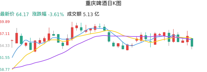 整体分析-日K图：重庆啤酒股票整体分析报告