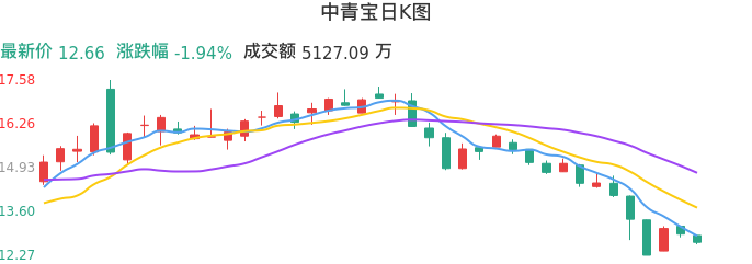 整体分析-日K图：中青宝股票整体分析报告