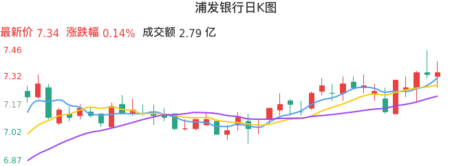 整体分析-日K图：浦发银行股票整体分析报告