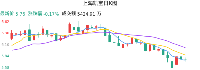整体分析-日K图：上海凯宝股票整体分析报告