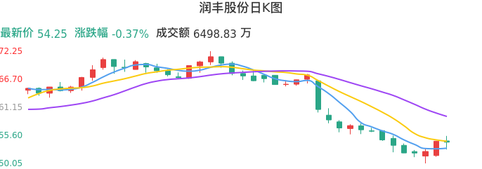 整体分析-日K图：润丰股份股票整体分析报告