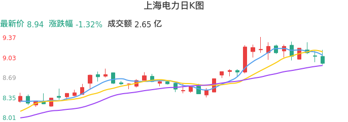 整体分析-日K图：上海电力股票整体分析报告