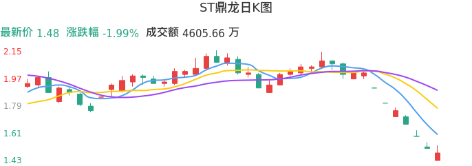 整体分析-日K图：ST鼎龙股票整体分析报告