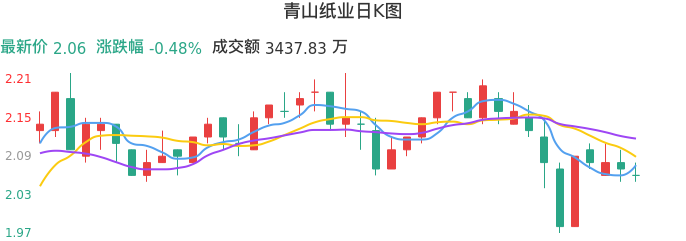 整体分析-日K图：青山纸业股票整体分析报告