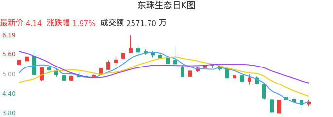整体分析-日K图：东珠生态股票整体分析报告
