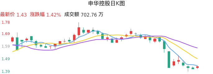 整体分析-日K图：申华控股股票整体分析报告