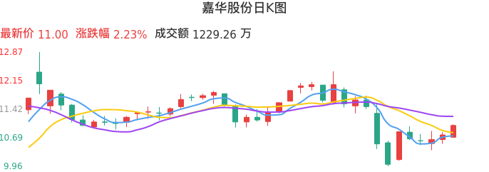 整体分析-日K图：嘉华股份股票整体分析报告