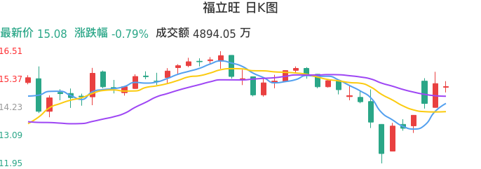 整体分析-日K图：福立旺股票整体分析报告