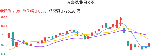 整体分析-日K图：苏豪弘业股票整体分析报告