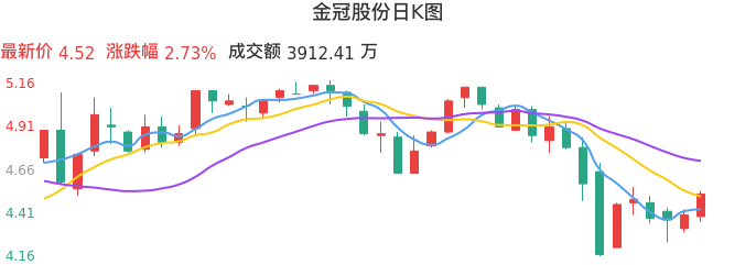 整体分析-日K图：金冠股份股票整体分析报告