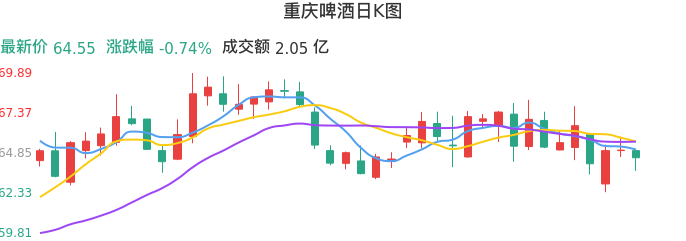 整体分析-日K图：重庆啤酒股票整体分析报告