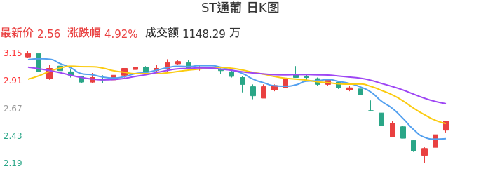 整体分析-日K图：ST通葡股票整体分析报告