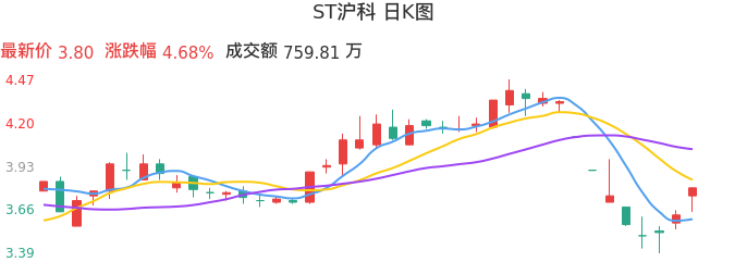 整体分析-日K图：ST沪科股票整体分析报告