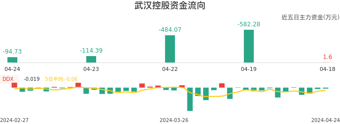 资金面-资金流向图：武汉控股股票资金面分析报告