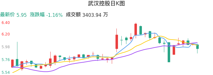 整体分析-日K图：武汉控股股票整体分析报告