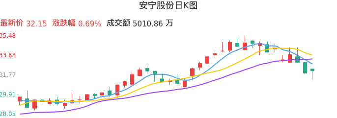 整体分析-日K图：安宁股份股票整体分析报告