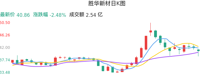整体分析-日K图：胜华新材股票整体分析报告