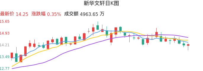 整体分析-日K图：新华文轩股票整体分析报告