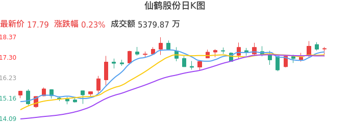 整体分析-日K图：仙鹤股份股票整体分析报告