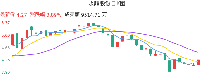 整体分析-日K图：永鼎股份股票整体分析报告