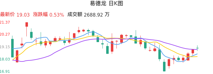 整体分析-日K图：易德龙股票整体分析报告