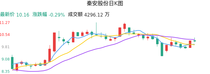 整体分析-日K图：秦安股份股票整体分析报告