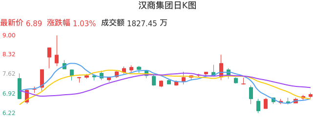 整体分析-日K图：汉商集团股票整体分析报告