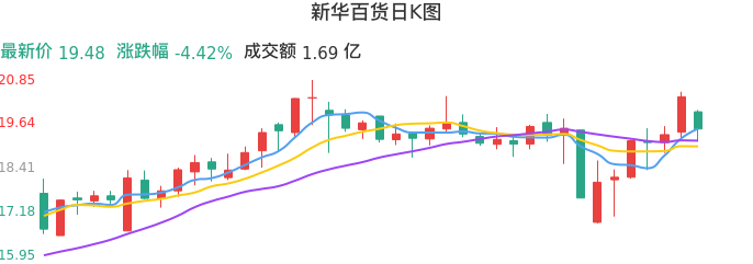 整体分析-日K图：新华百货股票整体分析报告