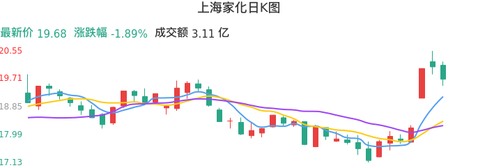 整体分析-日K图：上海家化股票整体分析报告