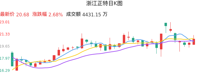 整体分析-日K图：浙江正特股票整体分析报告