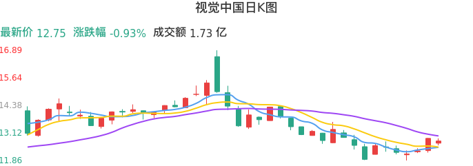 整体分析-日K图：视觉中国股票整体分析报告