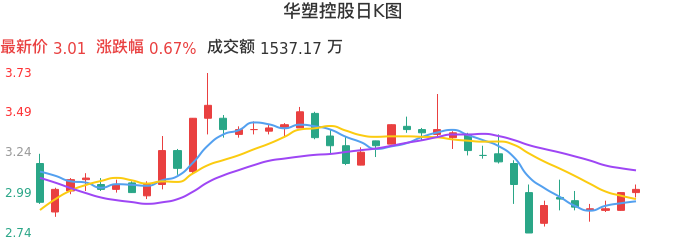 整体分析-日K图：华塑控股股票整体分析报告
