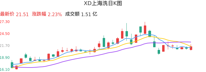 整体分析-日K图：XD上海洗股票整体分析报告