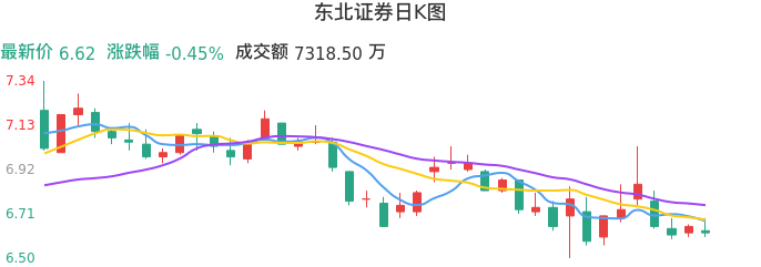 整体分析-日K图：东北证券股票整体分析报告